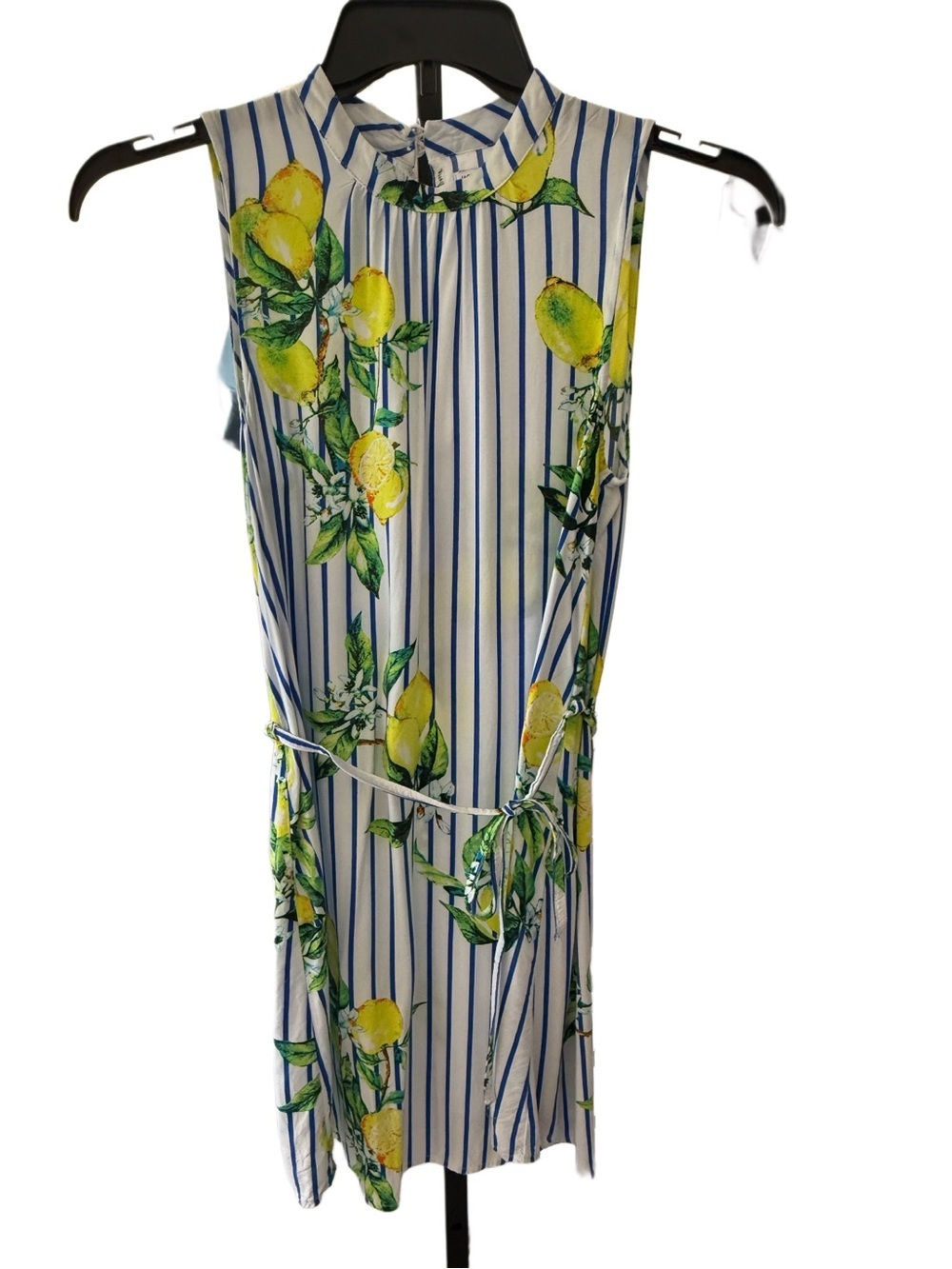 Lemon Print Fruit Tie-Waist Sleeveless Striped Dress